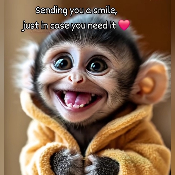 *𝑹𝒆𝒕𝒓𝒐*𝑻𝒐𝒅𝒂𝒚*𝑽𝒊𝒏𝒕𝒂𝒈𝒆* - Picture 5 of 11